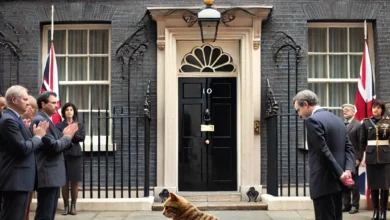 Dall·e 2024 08 26 12.37.04 A Detailed Image Showing A Dignified And Somber Scene In The Courtyard Of 10 Downing Street With A Cat Resembling Larry The Famous Chief Mouser B