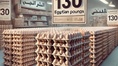 Dall·e 2024 08 27 10.48.32 An Image Showing A Neatly Arranged Stack Of Egg Cartons With Each Carton Labeled Clearly With A Price Tag Of 130 Egyptian Pounds. The Setting Should