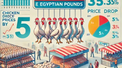 Dall·e 2024 09 01 18.12.18 An Informative Image Depicting The Recent Drop In Chicken Prices By 5 Egyptian Pounds In The Poultry Market In Egypt. The Image Includes Elements Such